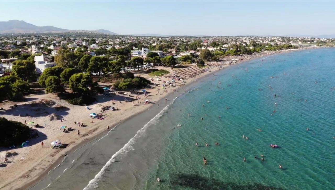 Athens Villa Artemis Pool Sea Airport Dış mekan fotoğraf
