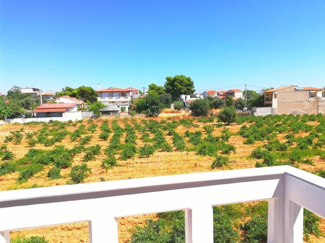 Athens Villa Artemis Pool Sea Airport Dış mekan fotoğraf